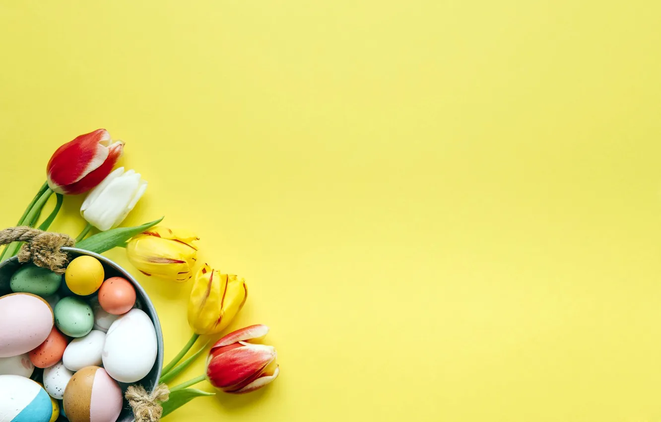 Фото обои яйца, Пасха, тюльпаны, flowers, spring, easter
