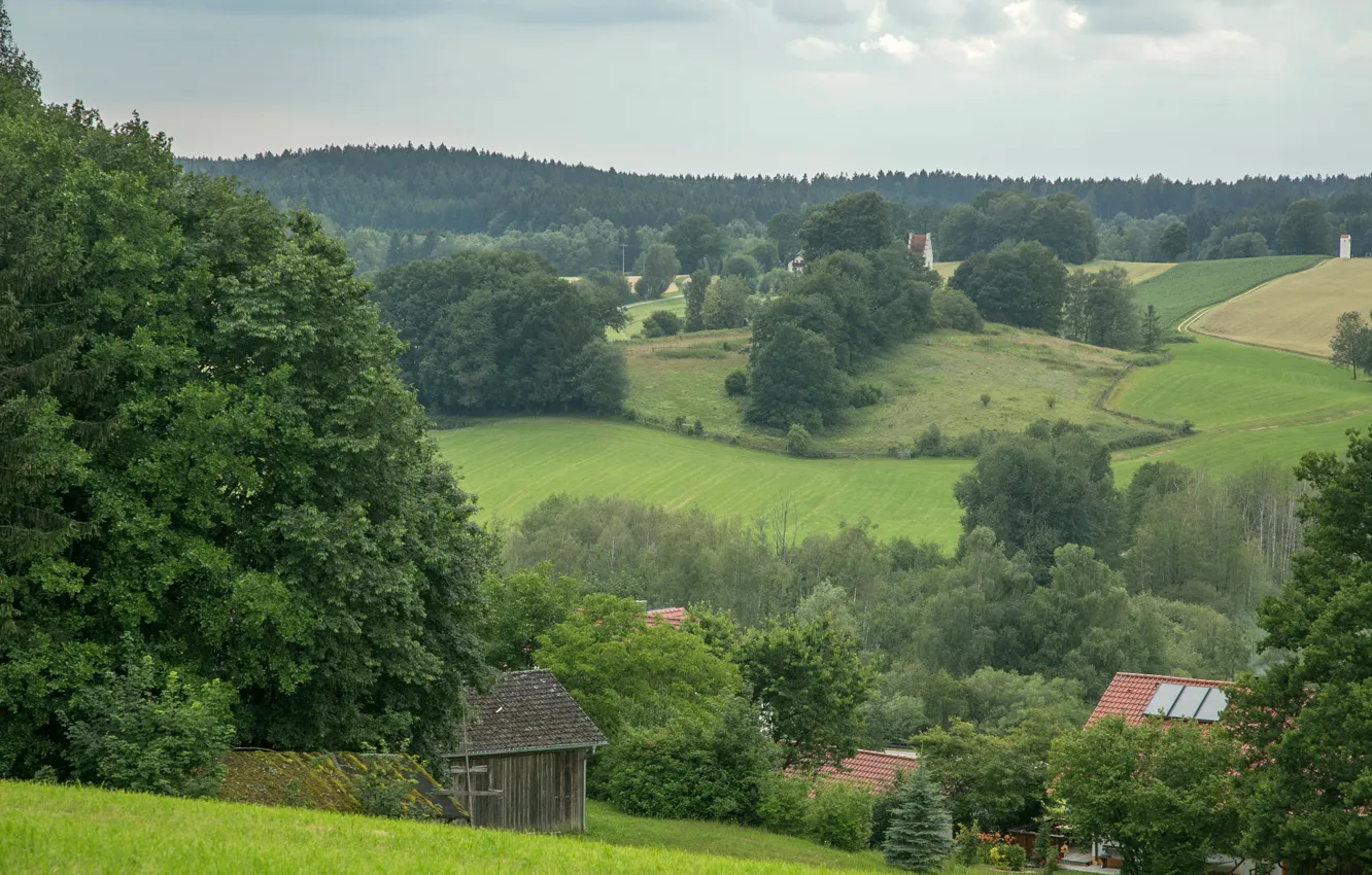 Фото обои поле, лес, деревья, Германия, домик, Wiesenfelden