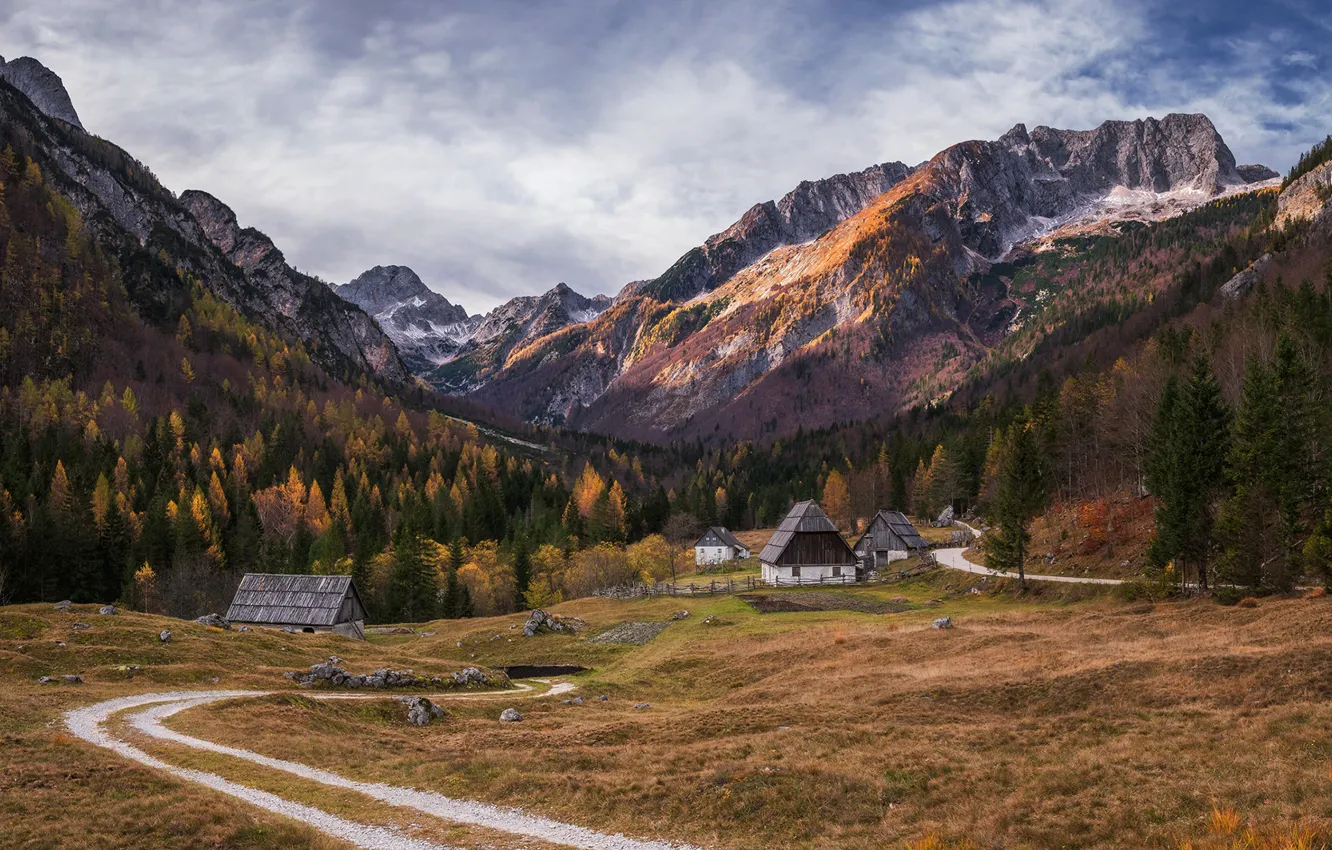 Фото обои осень, лес, горы, домики, autumn, mountains, forests, Словения