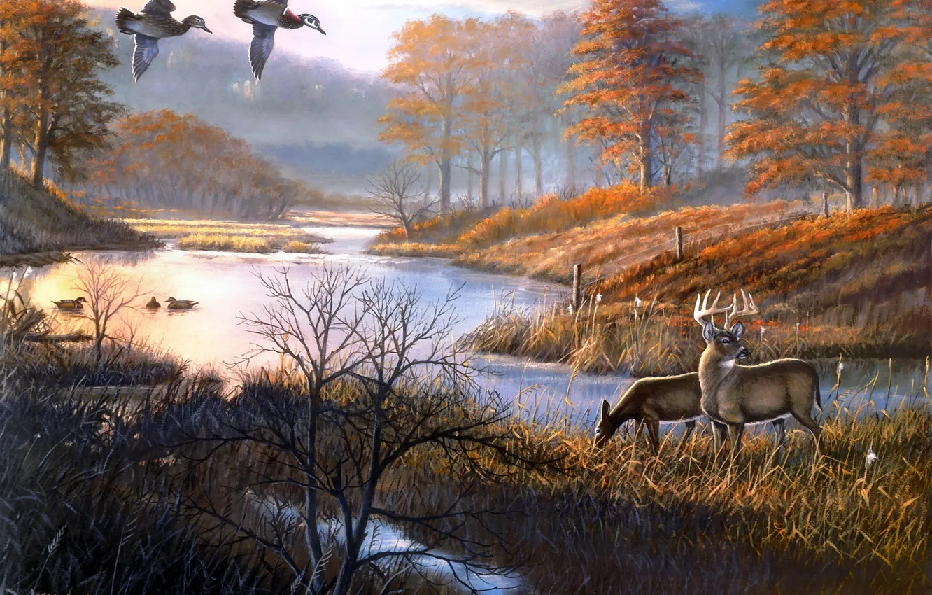 Фото обои осень, озеро, пруд, утки, живопись, олени, заморозки, Duck Pond Woodies