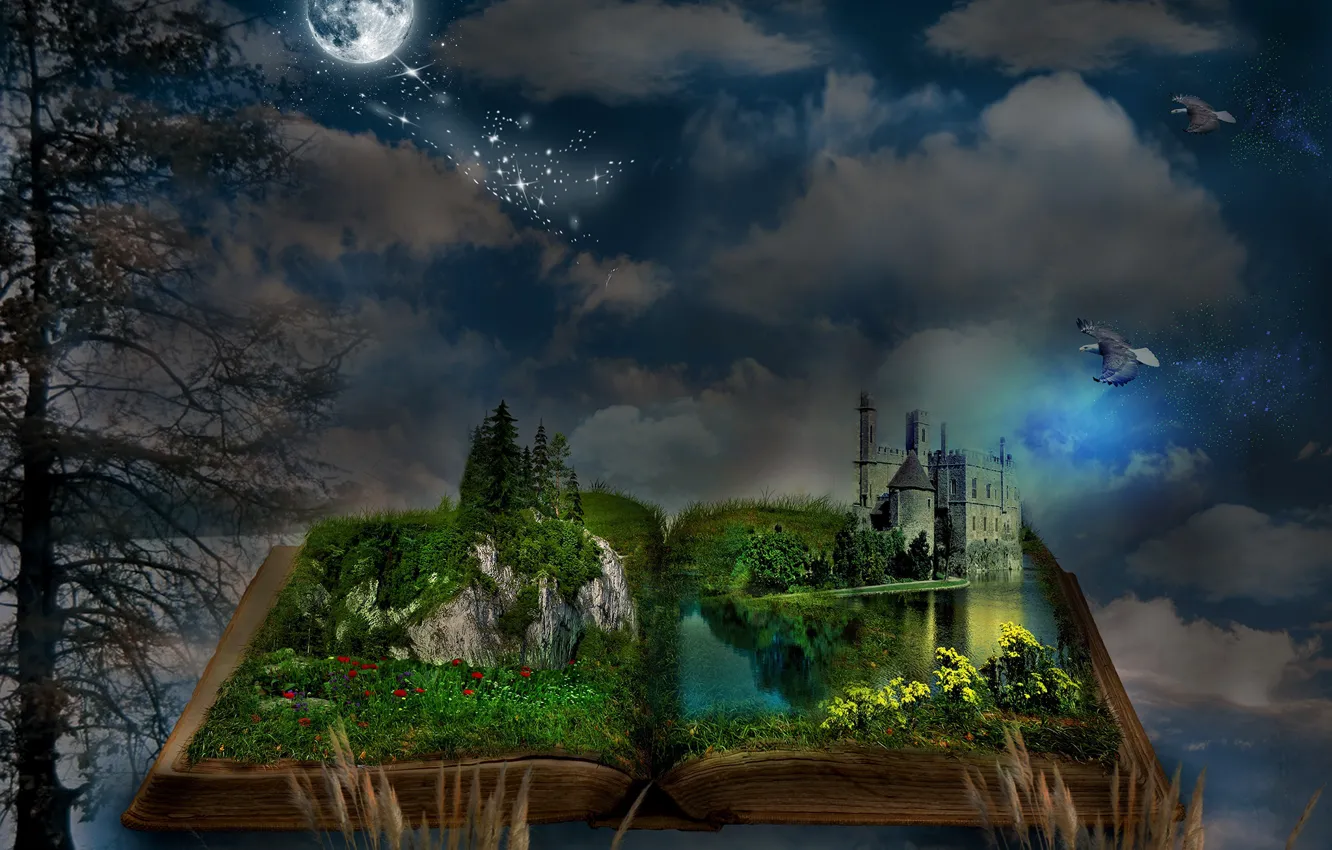Фото обои птицы, ночь, замок, луна, книга