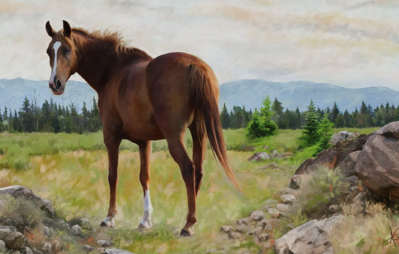 Фото обои пейзаж, природа, конь, лошадь, графика, картина, живопись, обои от lolita777