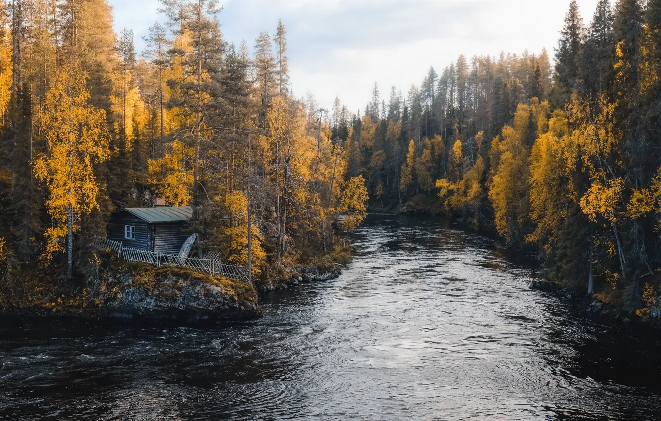 Фото обои осень, лес, дом, река