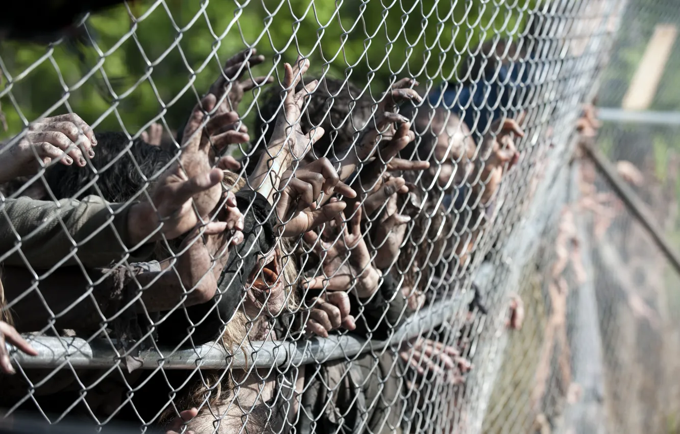 Фото обои zombies, hands, the walking dead, season 4, wiring