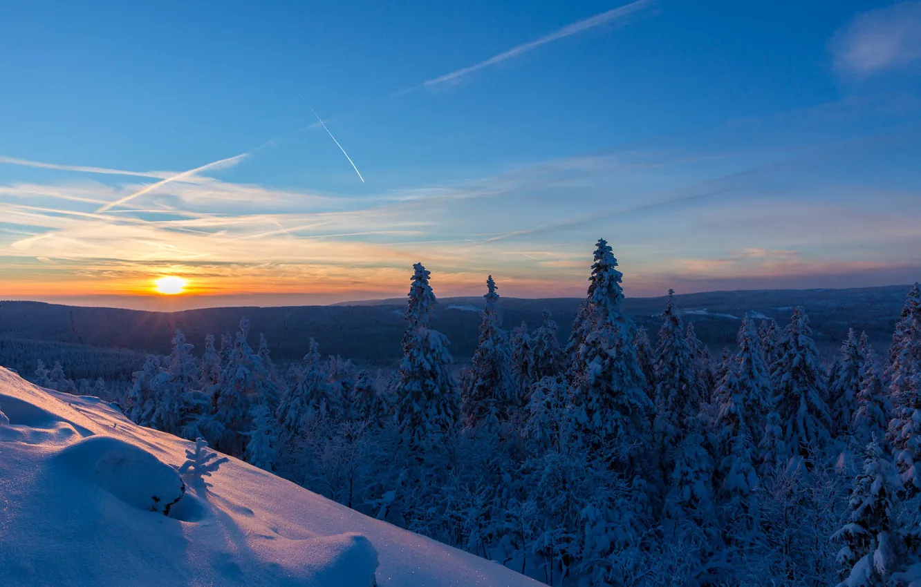 Фото обои зима, лес, снег, закат, Германия, ели, Germany, Нижняя Саксония