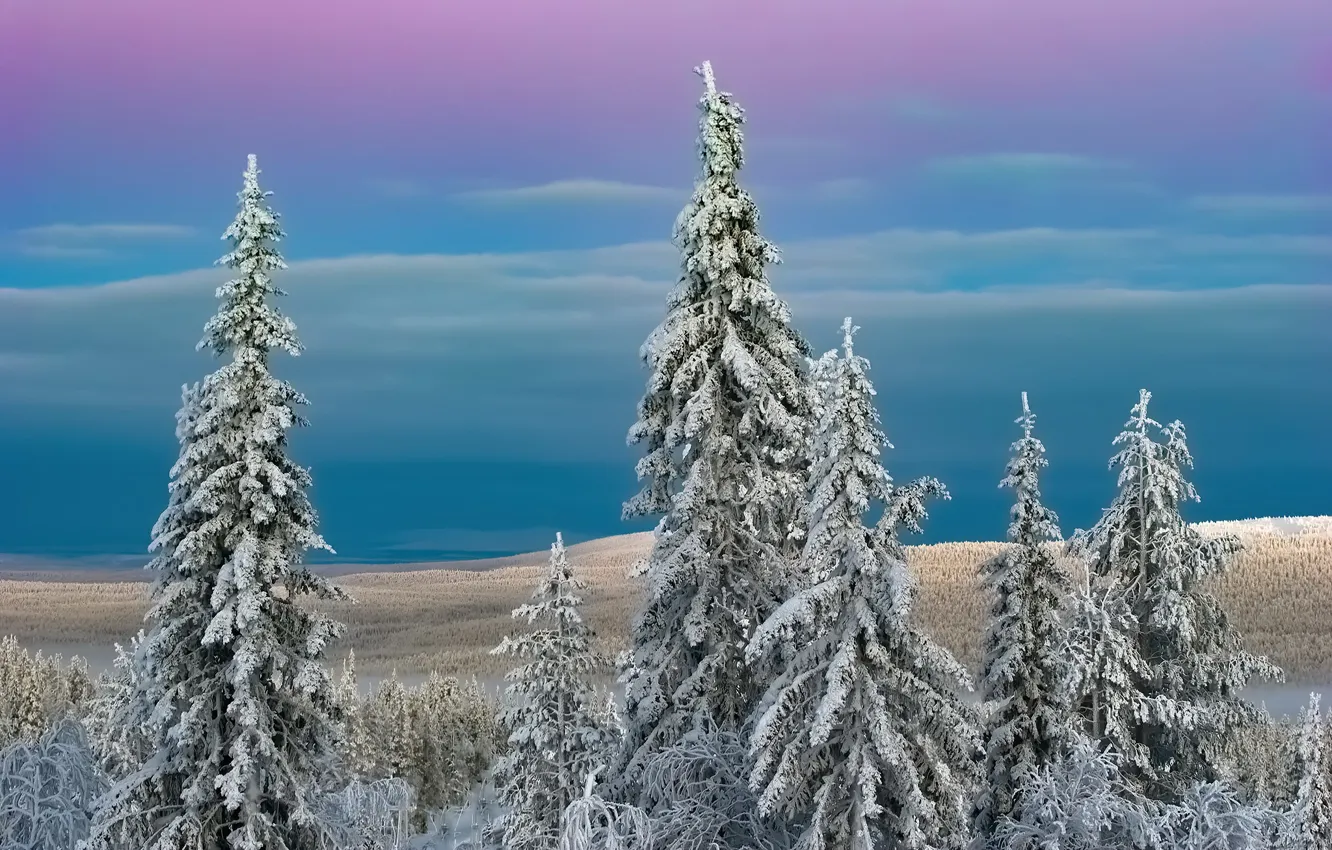 Фото обои Lapland, Kolari, Kumpula