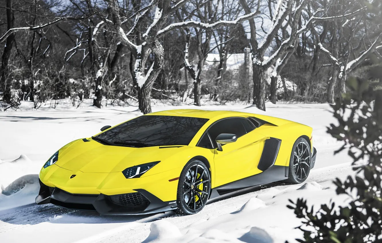 Фото обои Lamborghini, Snow, Yellow, Aventador, Supercar, LP720-4, 50 Anniversario Edition