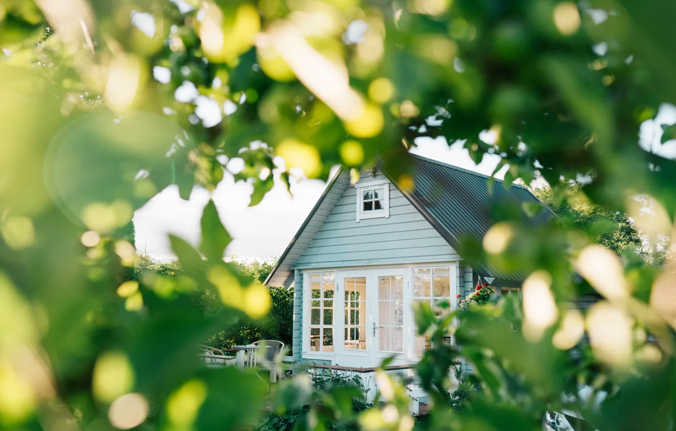 Фото обои Сад, Garden, Summer house, Outdoor space, Летний домик, Открытое пространство