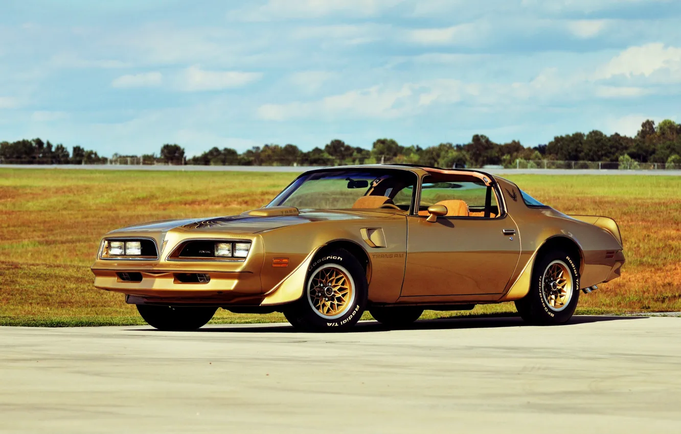 Фото обои Pontiac, Firebird, Special Edition, Trans Am, Gold