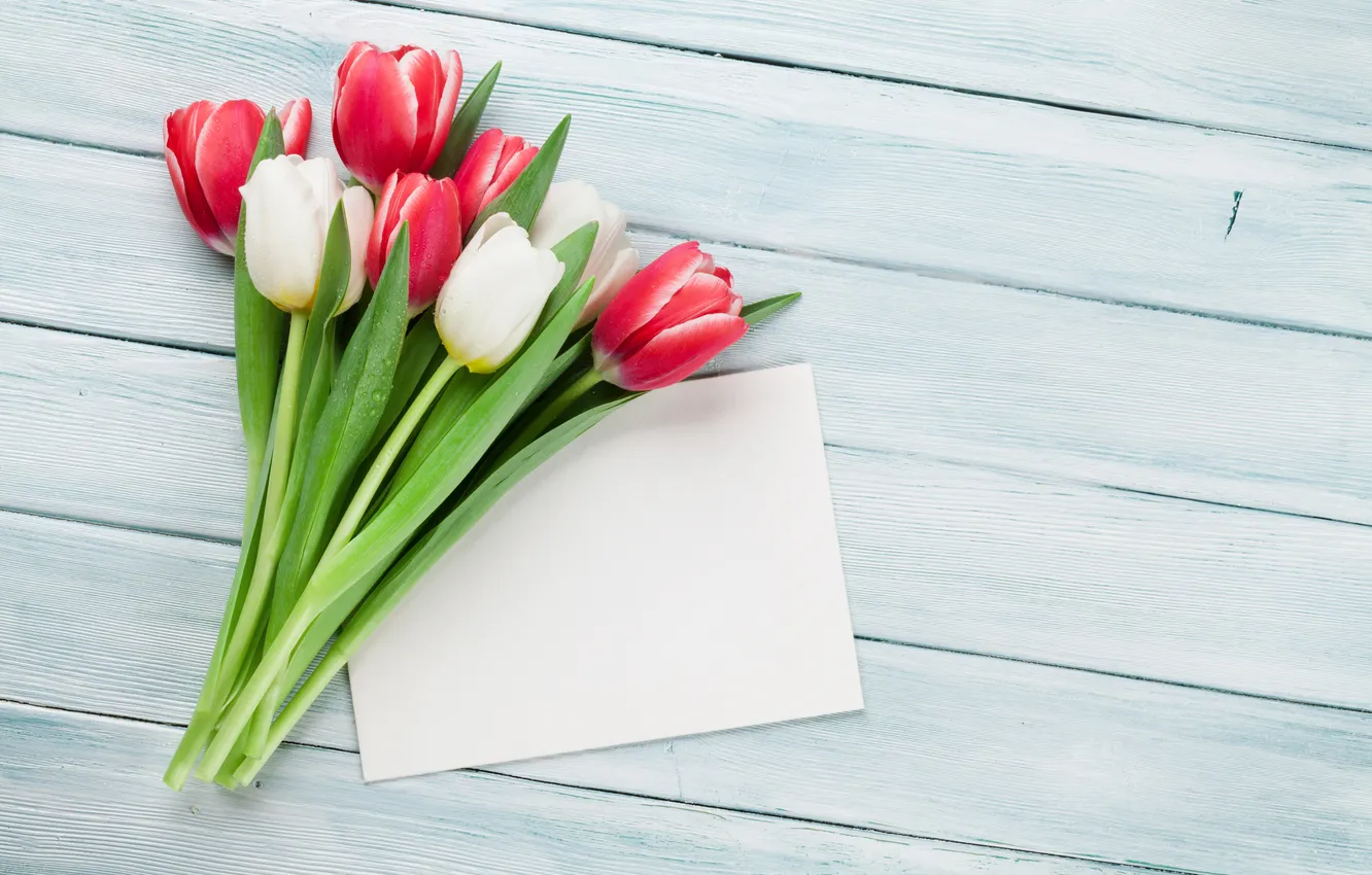 Фото обои цветы, букет, тюльпаны, red, white, wood, flowers, tulips
