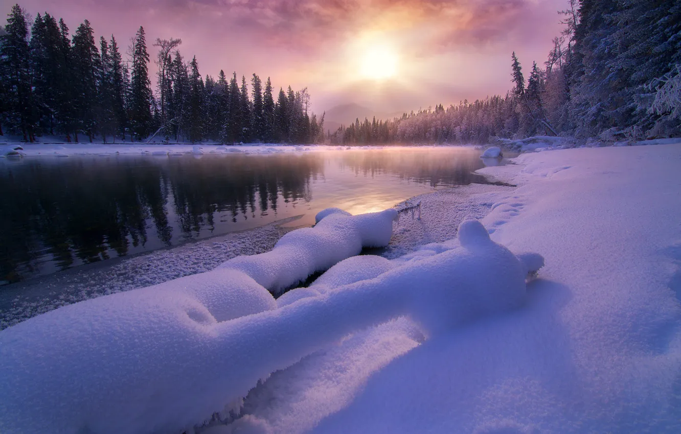 Фото обои зима, лес, солнце, снег, туман, рассвет, берег, утро