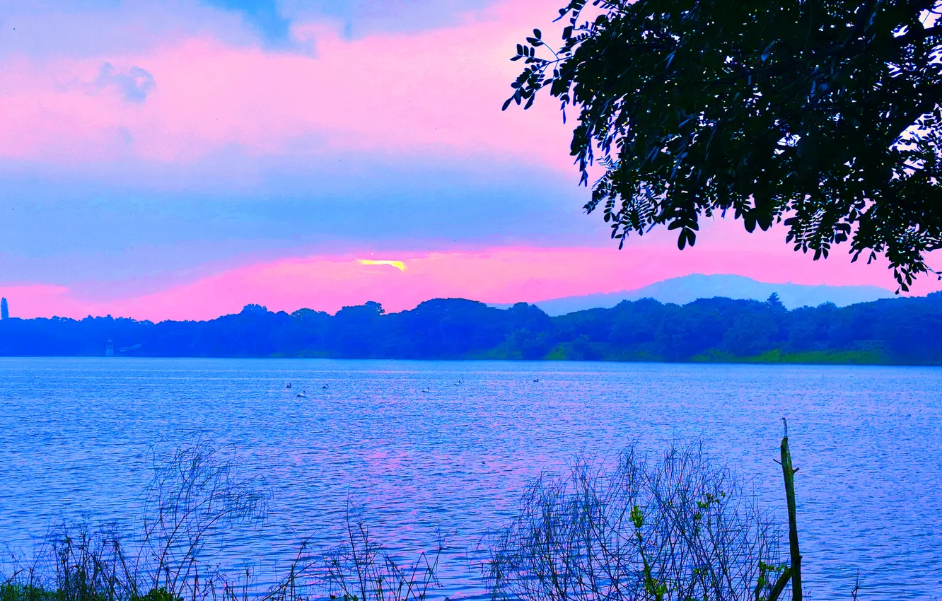 Фото обои Clouds, Sky, Sun, Water, Sunrise, Dawn, Morning, Lake