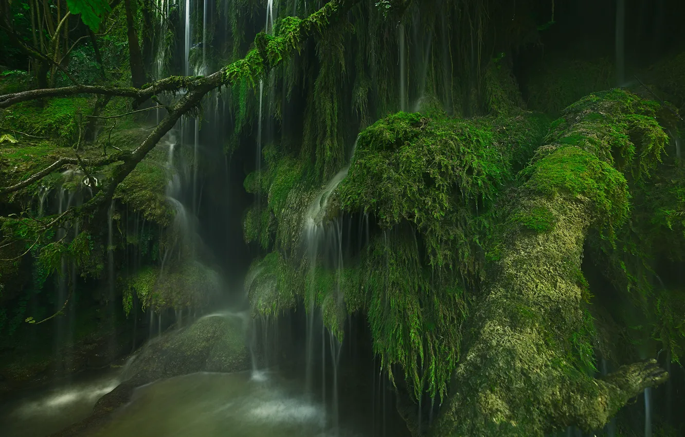 Фото обои Франция, водопад, мох