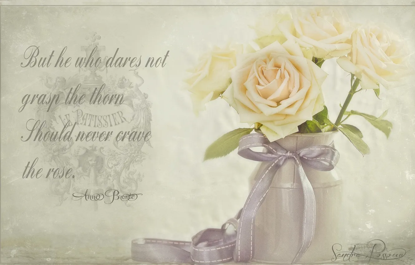 Фото обои розы, размытие, бант