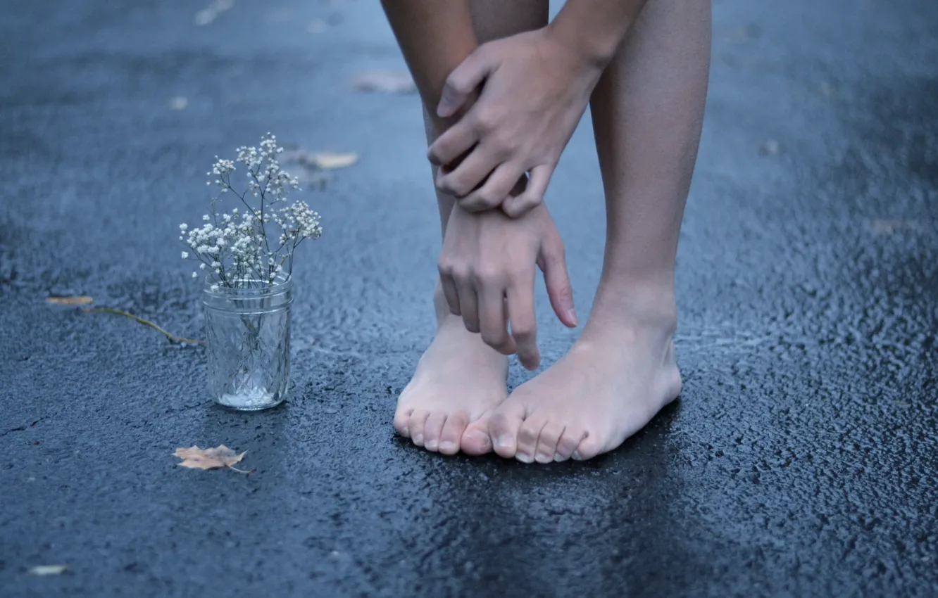 Фото обои цветок, асфальт, улица, ноги, руки
