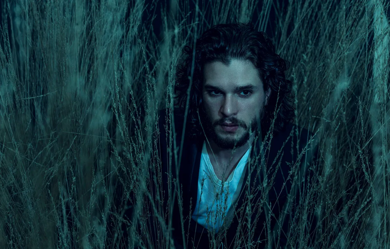 Фото обои трава, актер, борода, брюнет, Kit Harington