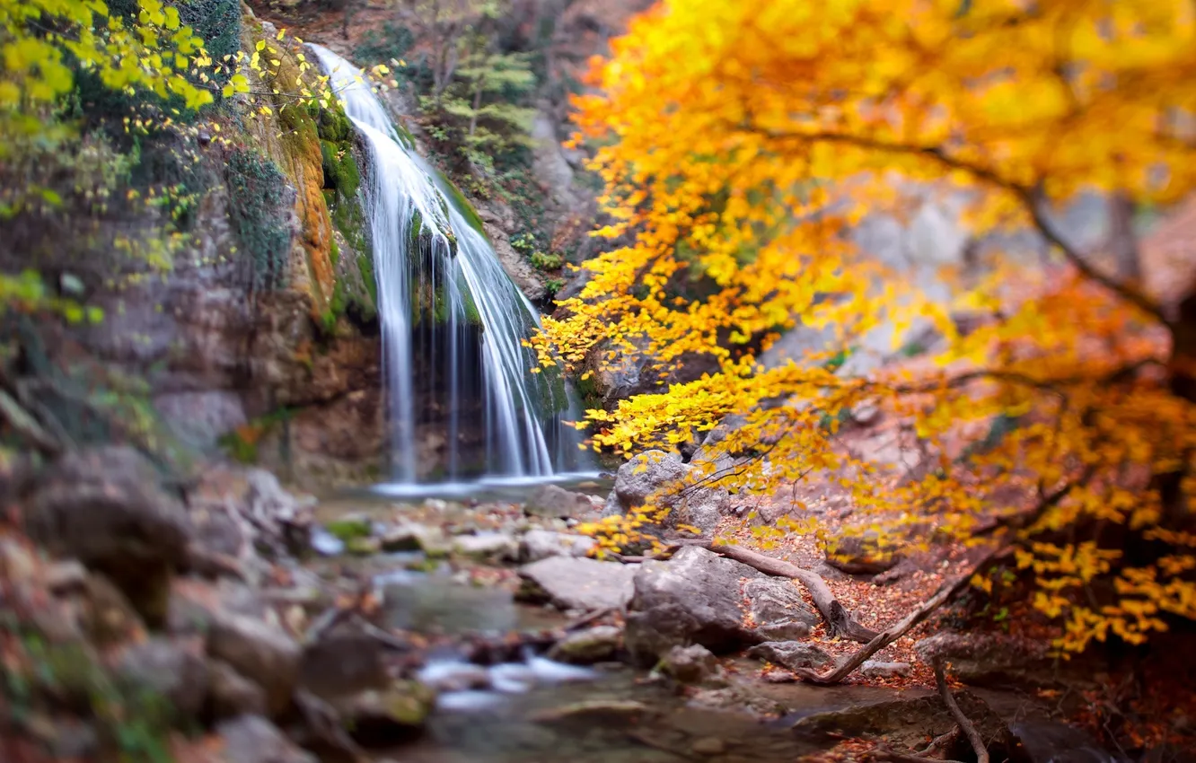 Фото обои осень, лес, природа, водопад, россия