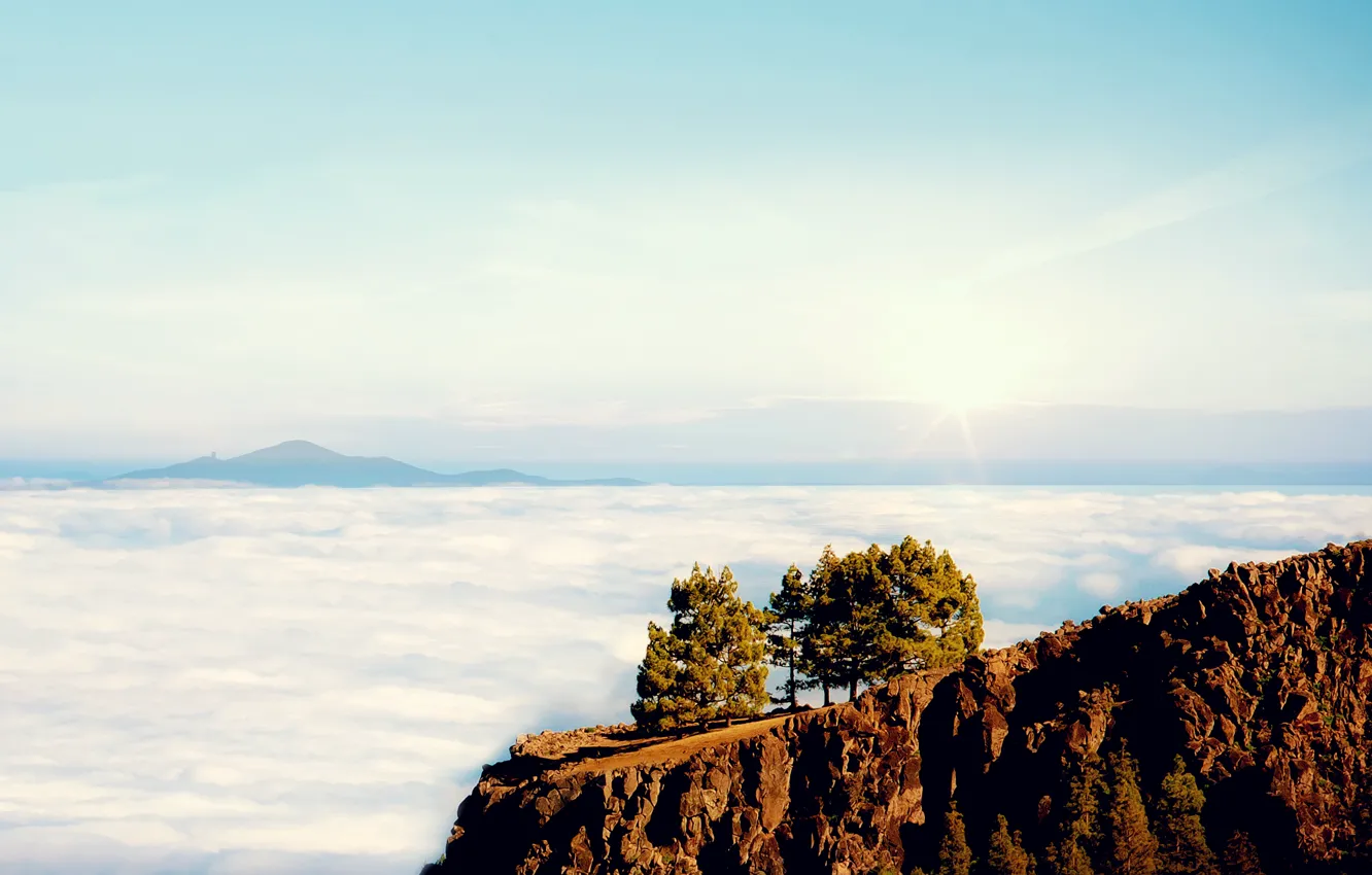 Фото обои облака, деревья, горы, скала, обрыв, вид, высота