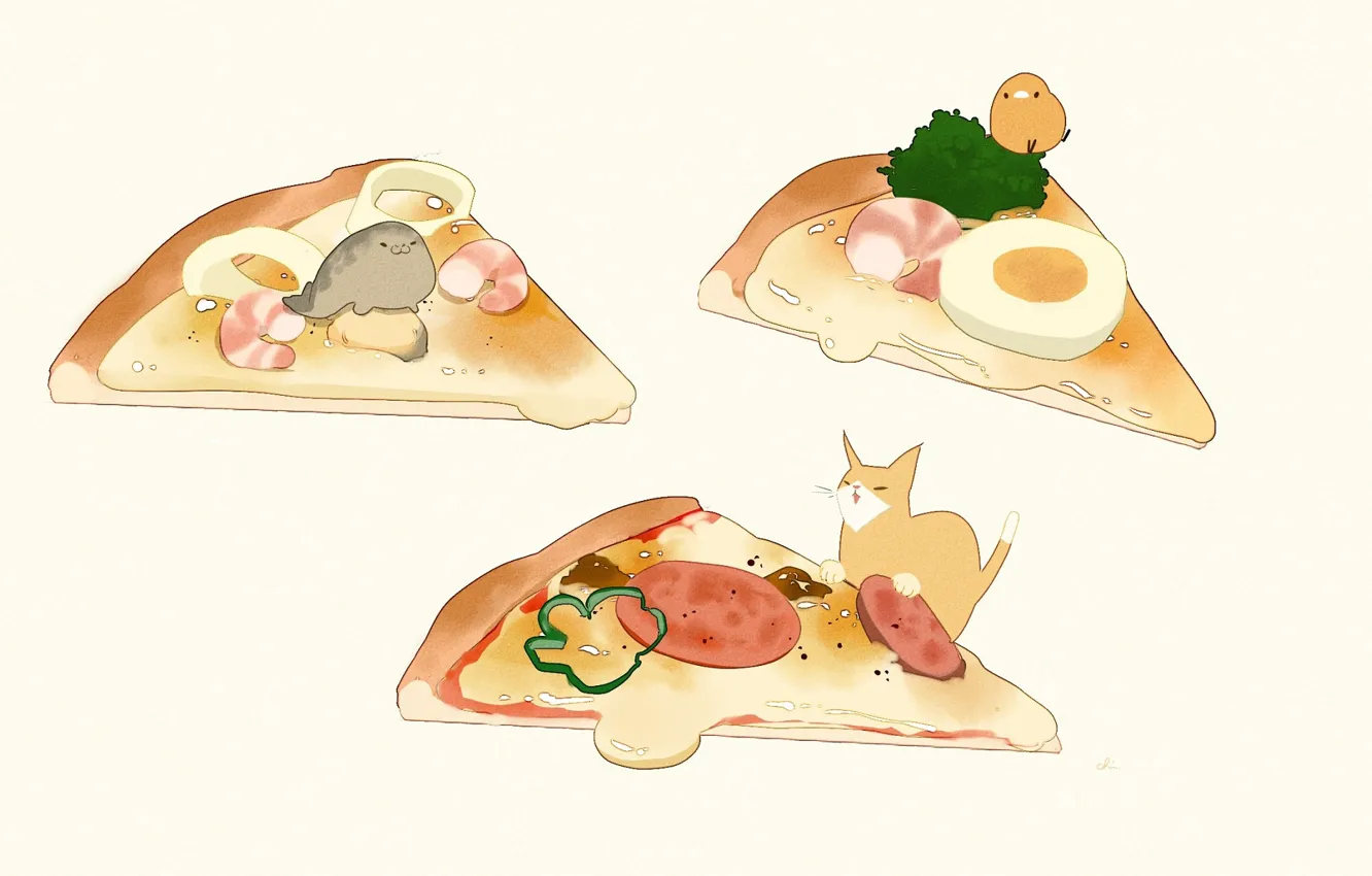 Фото обои зелень, яйцо, тюлень, киска, кусочки, птичка, вкуснятина, пицца