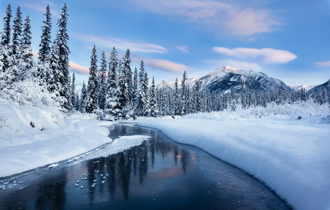 Фото обои зима, лес, снег, горы, река, сугробы
