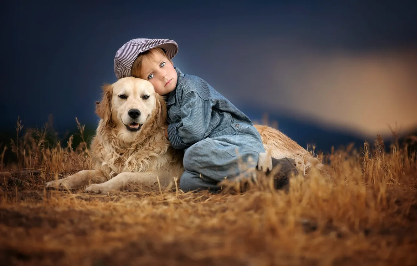 Фото обои трава, закат, природа, животное, собака, мальчик, кепка, друзья