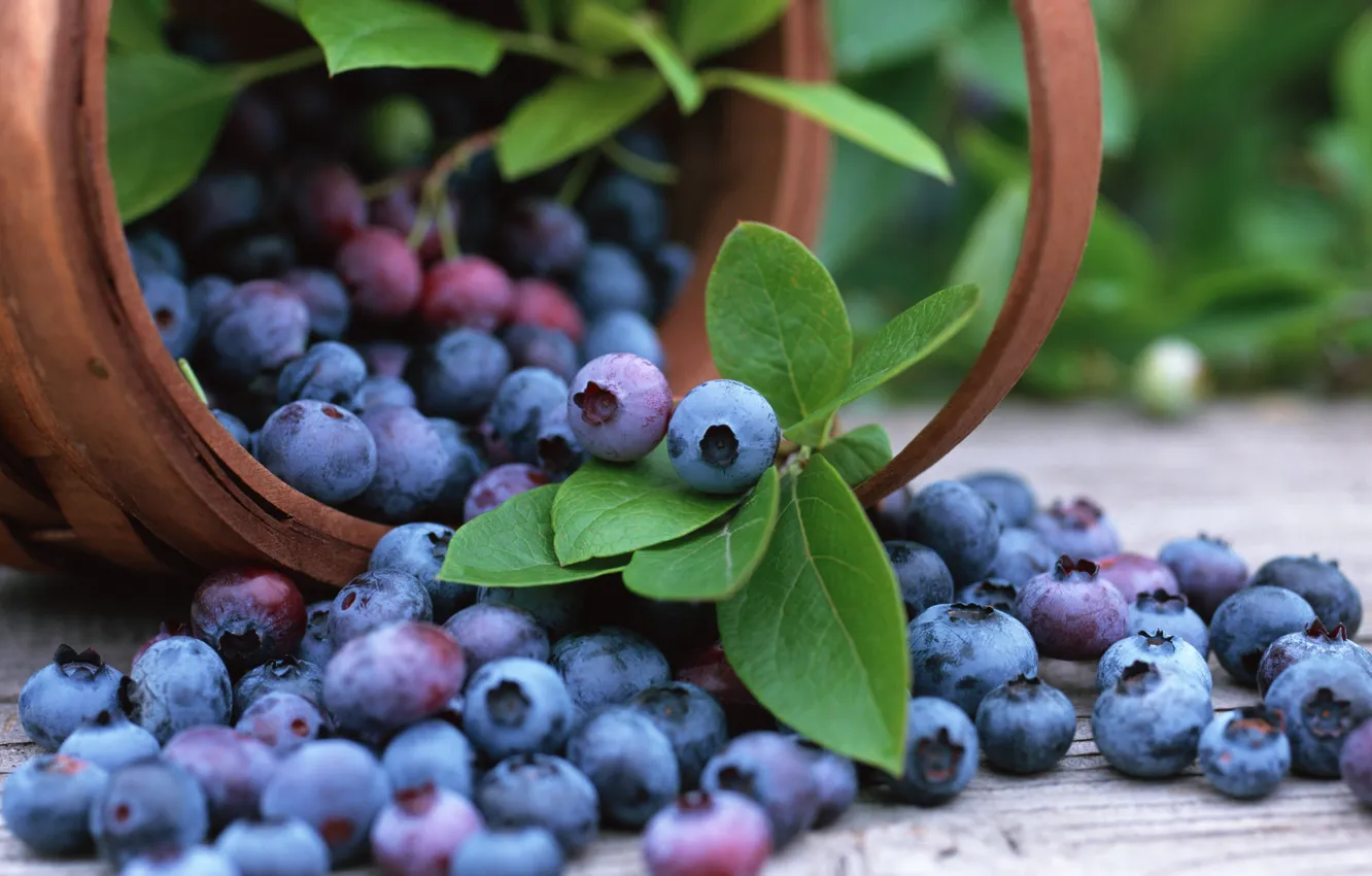 Фото обои корзина, черника, blueberry, fruits