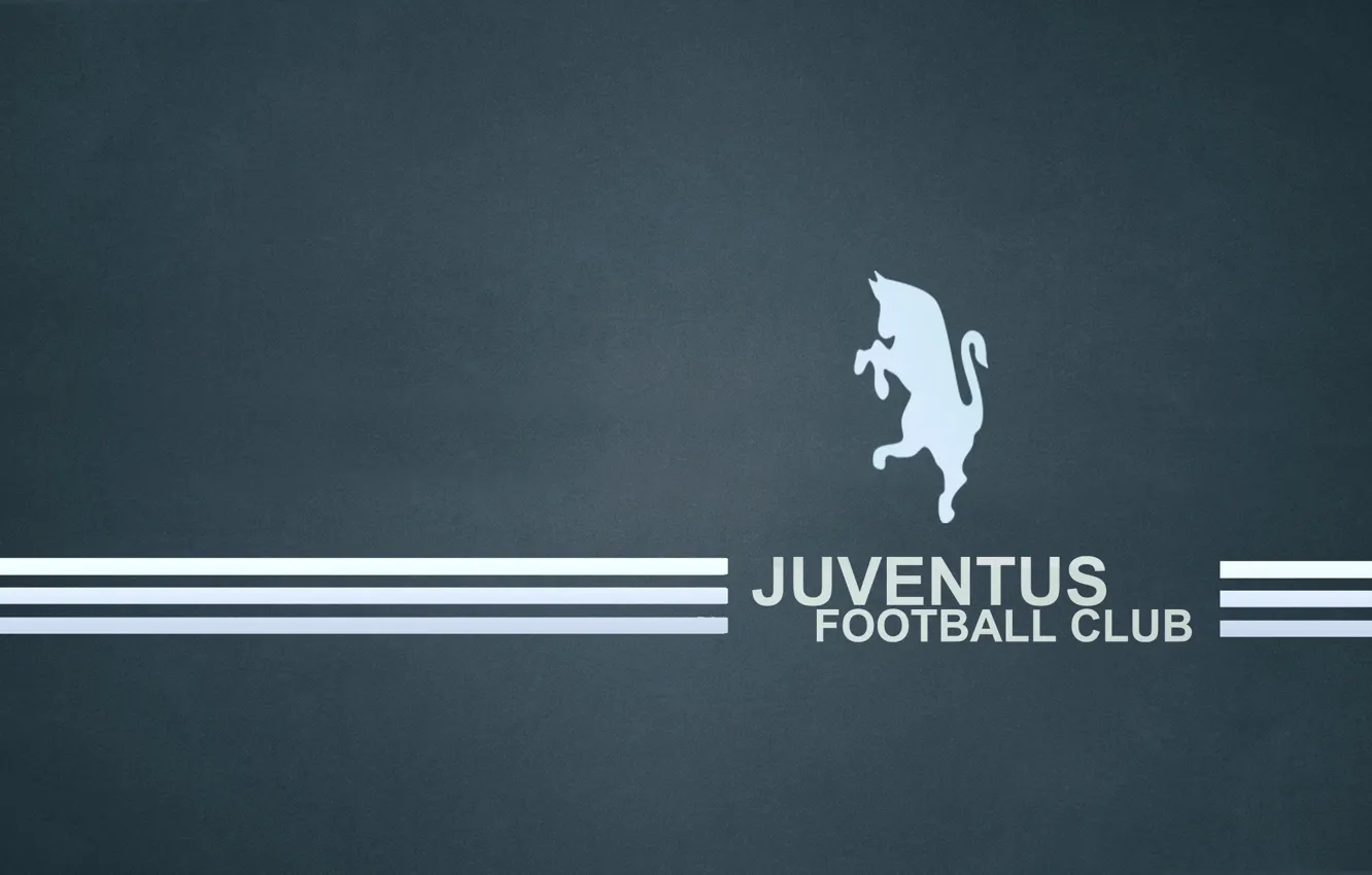 Фото обои зебра, Чёрно-белые, juventus_football_club, тёмно синий фон, Bianconer