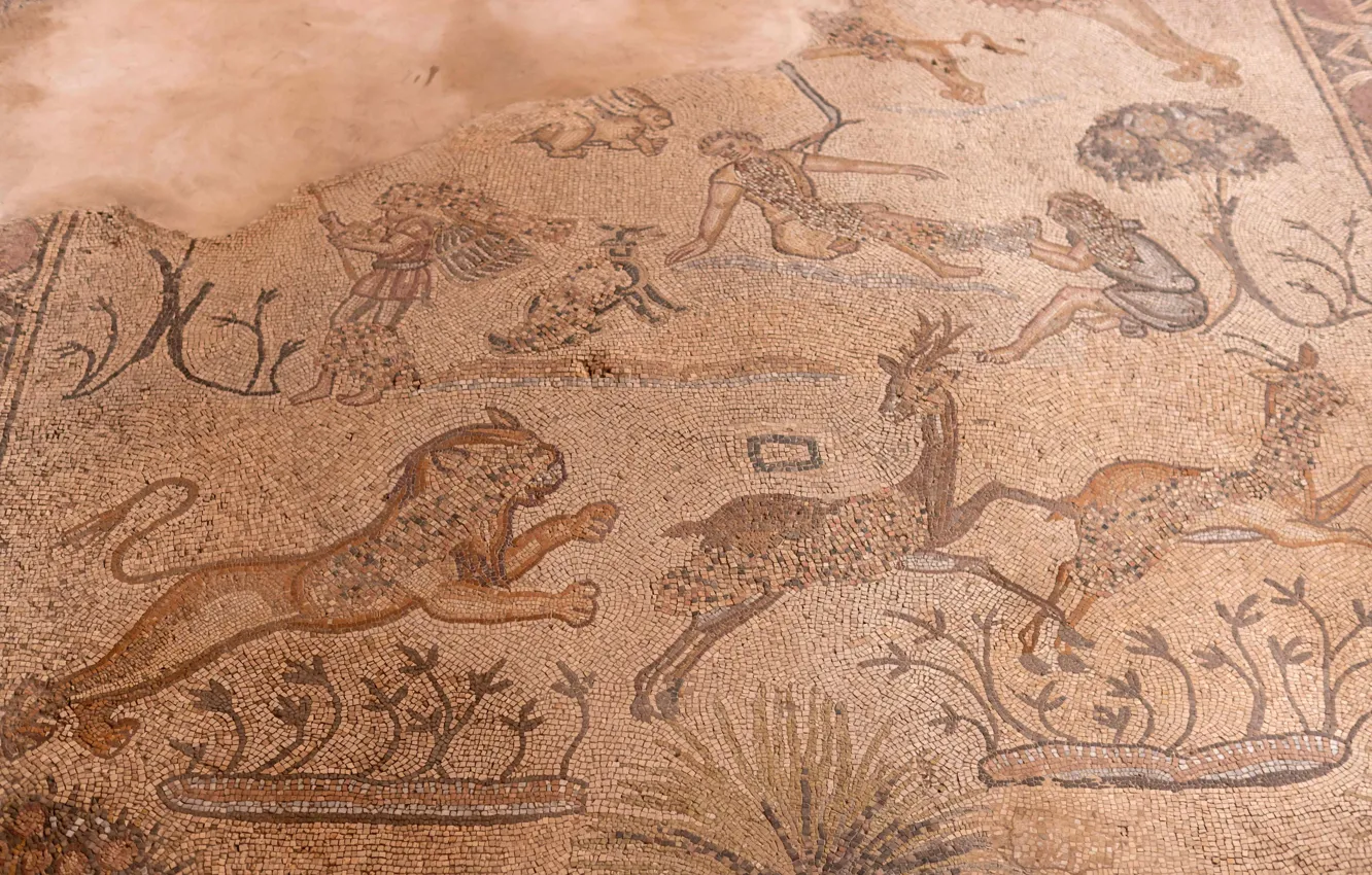 Фото обои Мозаика, Byzantine church, Джабалия, Mosaic floor, Jabalia, Северная часть сектора Газа, Northern Gaza Strip, Мозаичный …