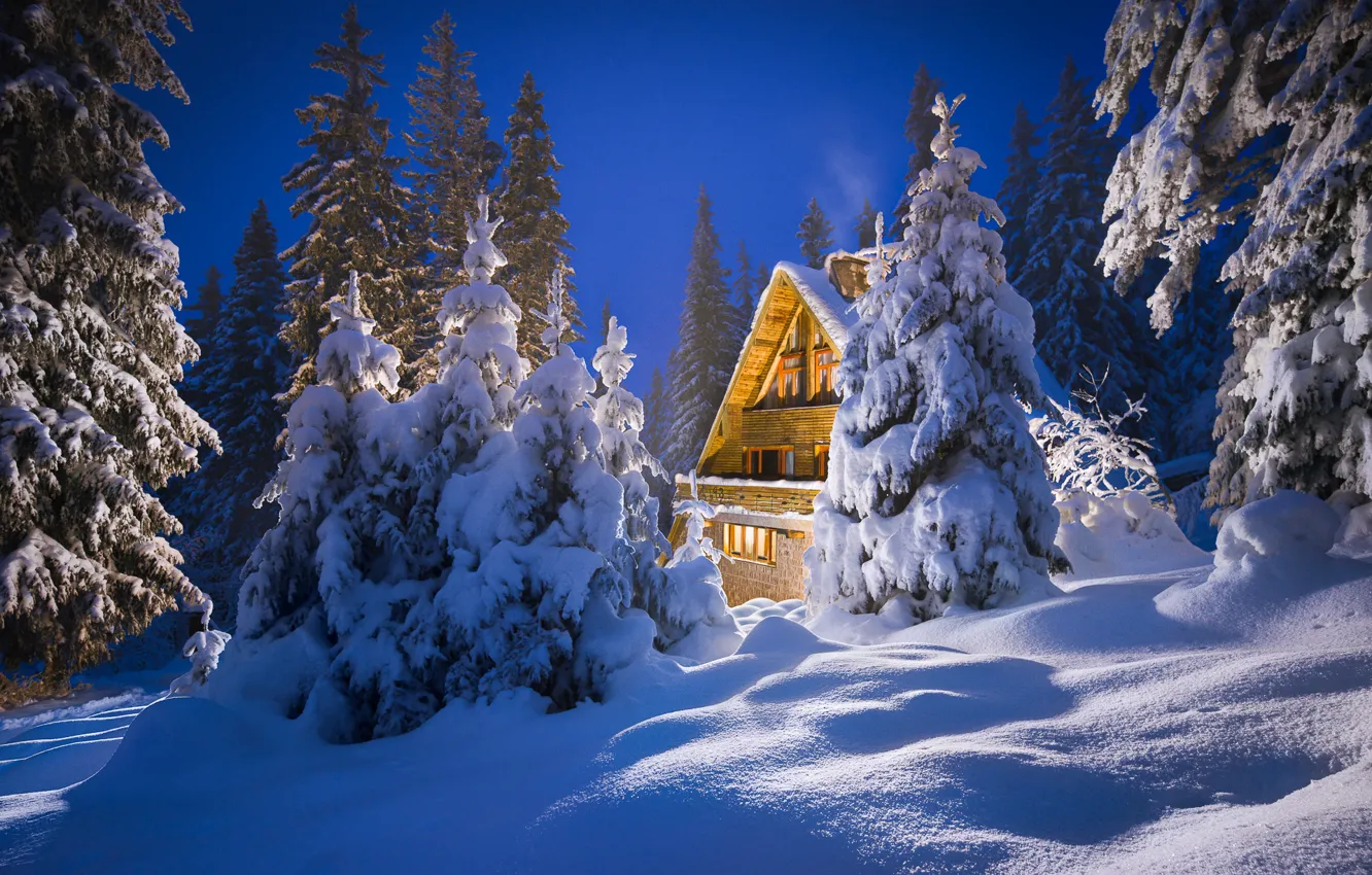 Фото обои зима, снег, дом, ели, сугробы, Болгария