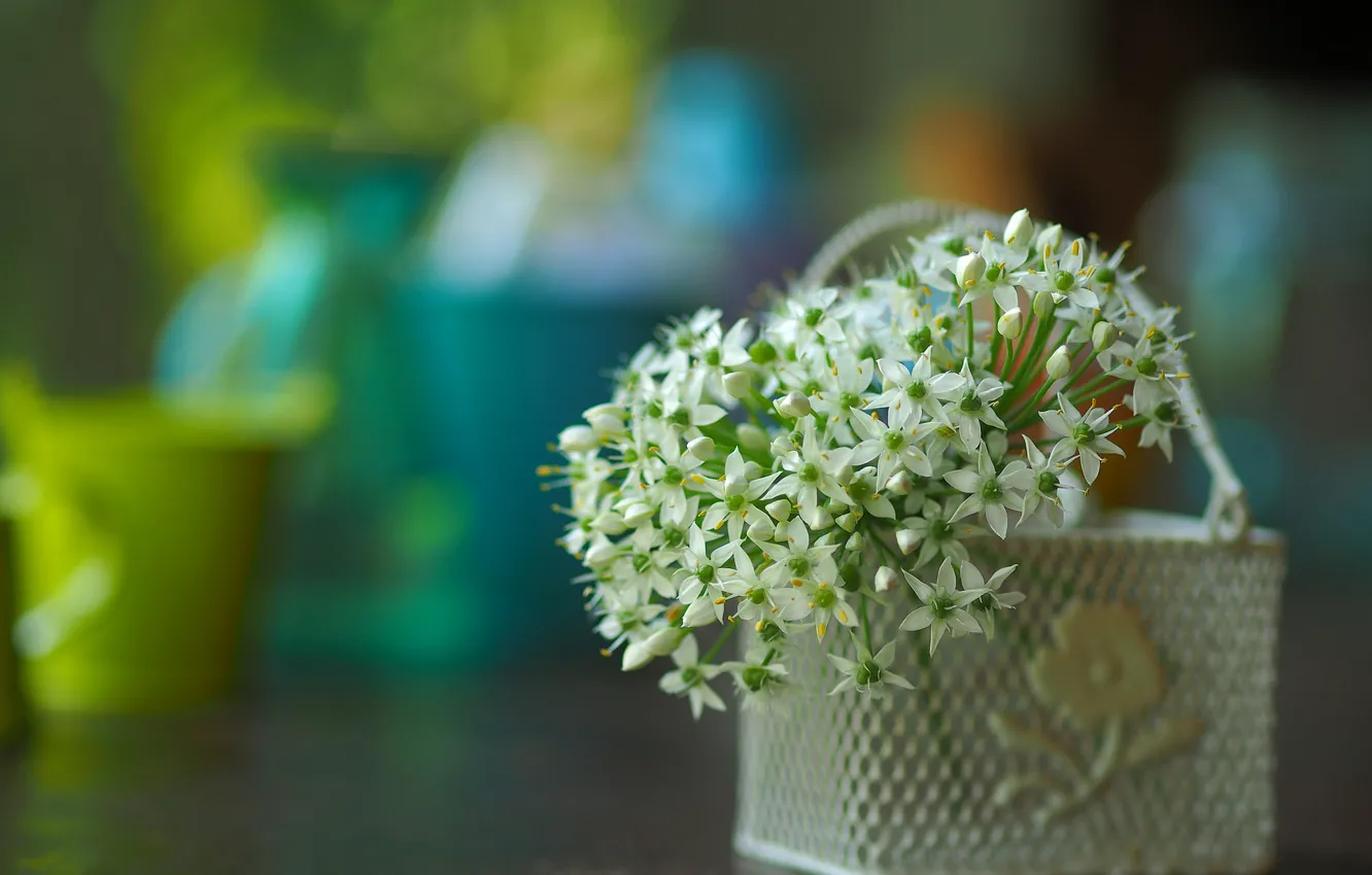 Фото обои лук, цветки, вазочка