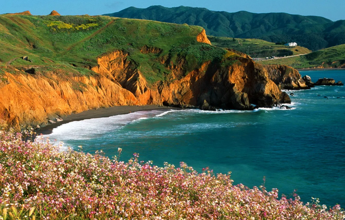 Фото обои море, небо, цветы, горы