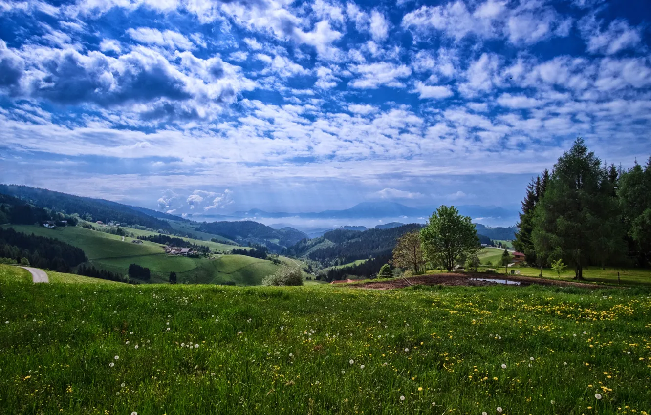 Фото обои дорога, поле, небо, трава, облака, цветы, дома, долина