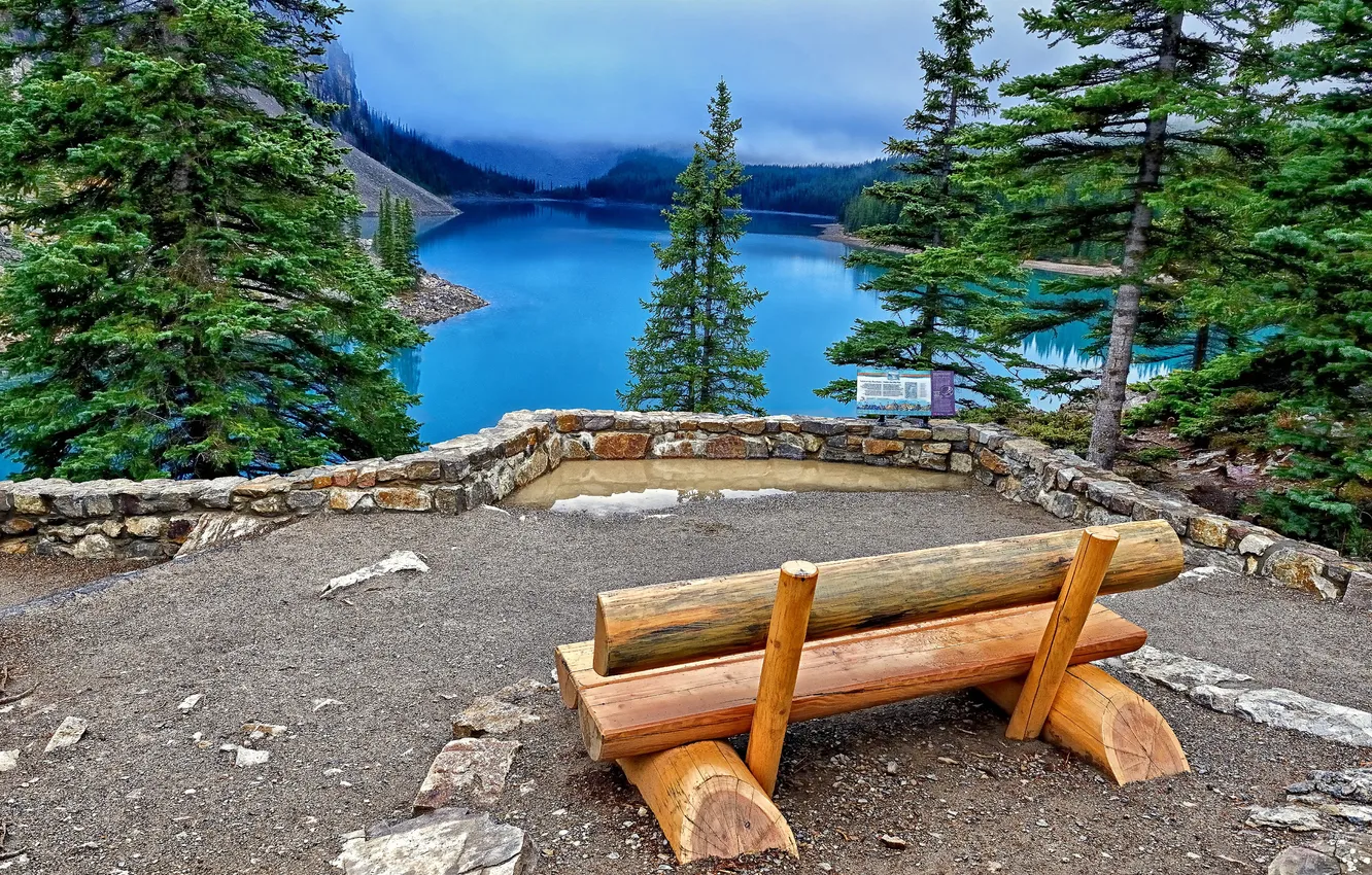 Фото обои скамейка, ели, Канада, Banff National Park, Canada, Moraine Lake, Озеро Морейн, Банф