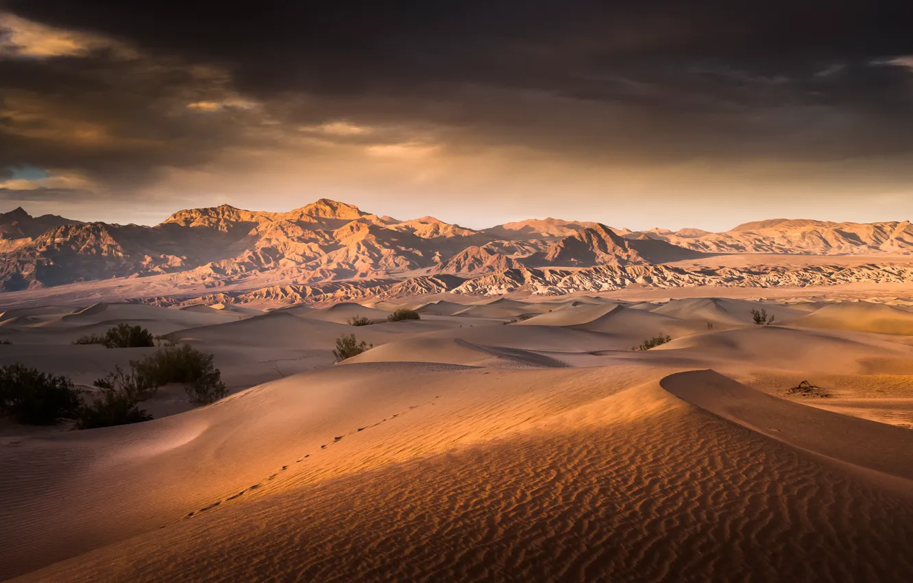Фото обои пустыня, Калифорния, США, Death Valley