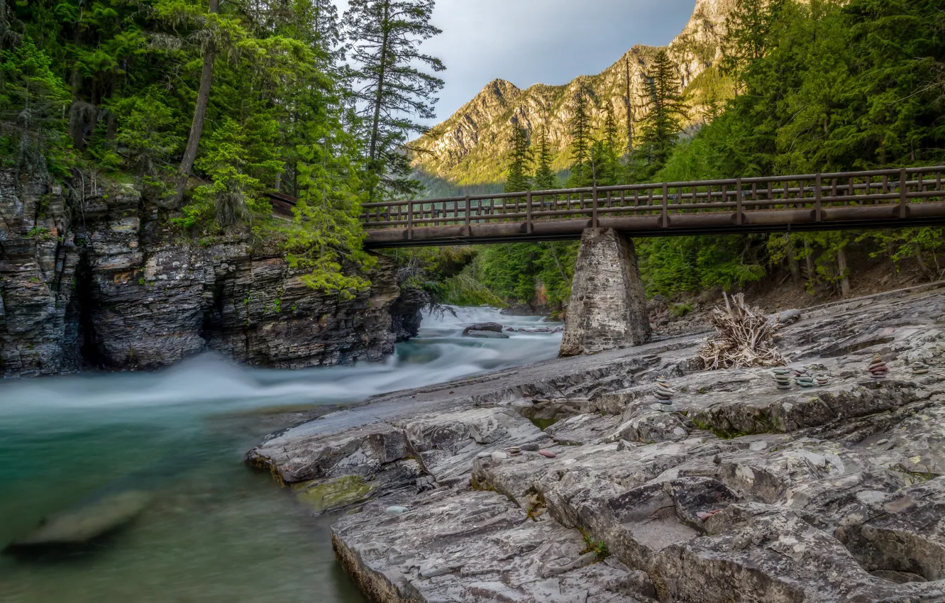 Фото обои деревья, горы, мост, река, ручей, Монтана, Glacier National Park, Скалистые горы