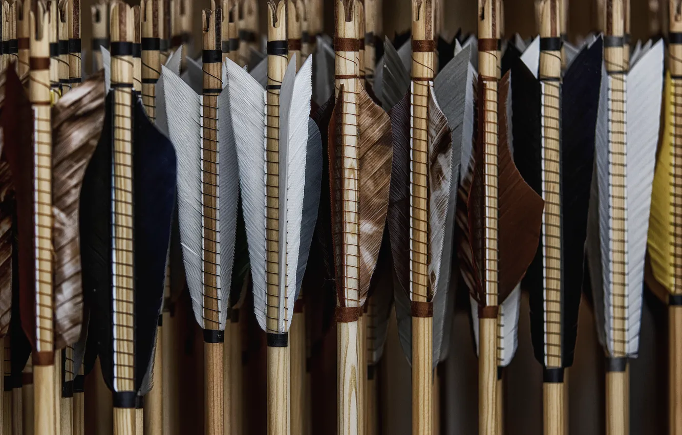 Фото обои перья, стрелы, много