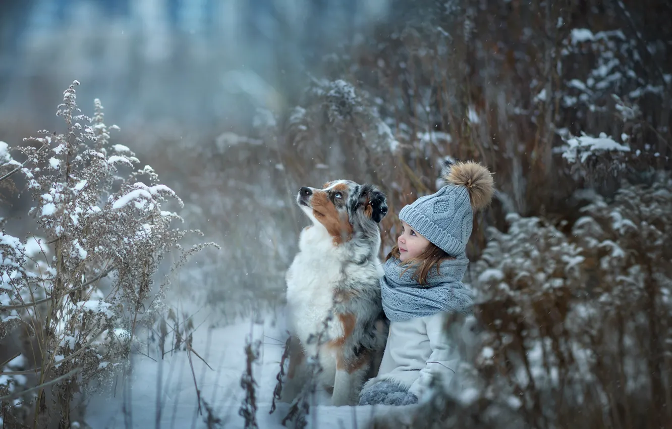 Фото обои трава, снег, шапка, собака, девочка, друзья, помпон