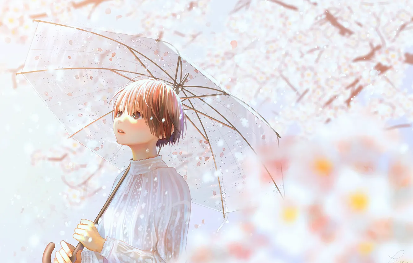 Фото обои девушка, весна, зонт, сакура