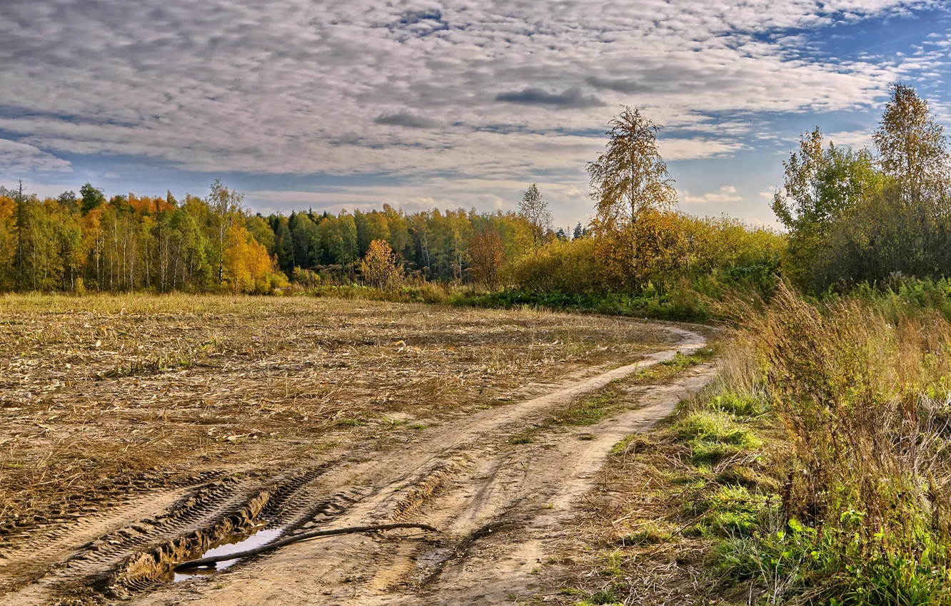 Фото обои дорога, поле, осень, пейзаж