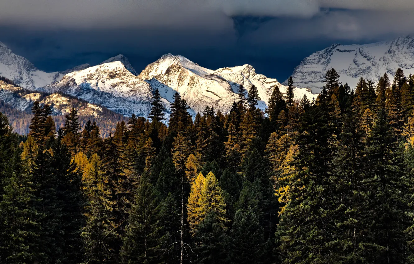 Фото обои осень, лес, небо, свет, снег, горы, тучи, вершины