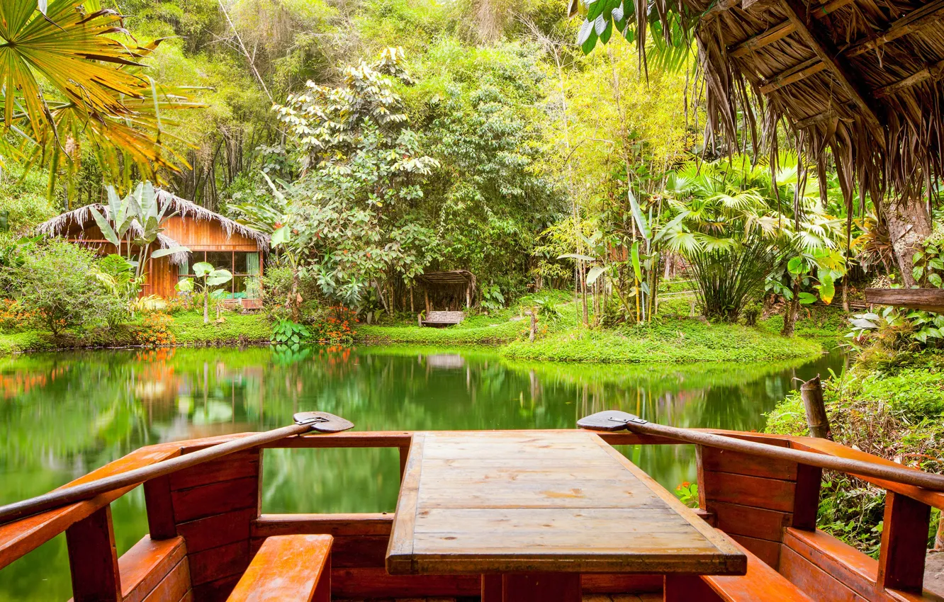 Фото обои зелень, трава, деревья, тропики, пруд, парк, лавочка, домик