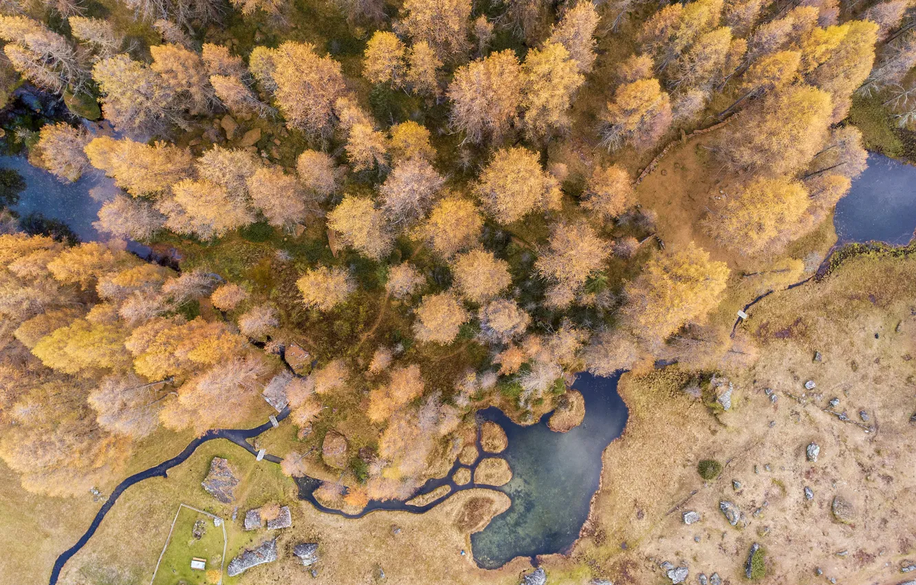 Фото обои осень, деревья, природа, вид сверху, водоемы