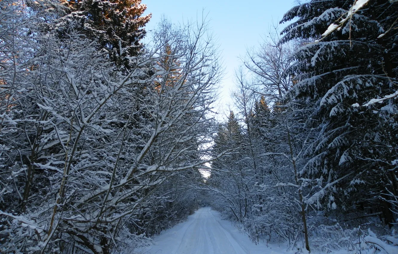 Фото обои зима, дорога, снег, пейзаж