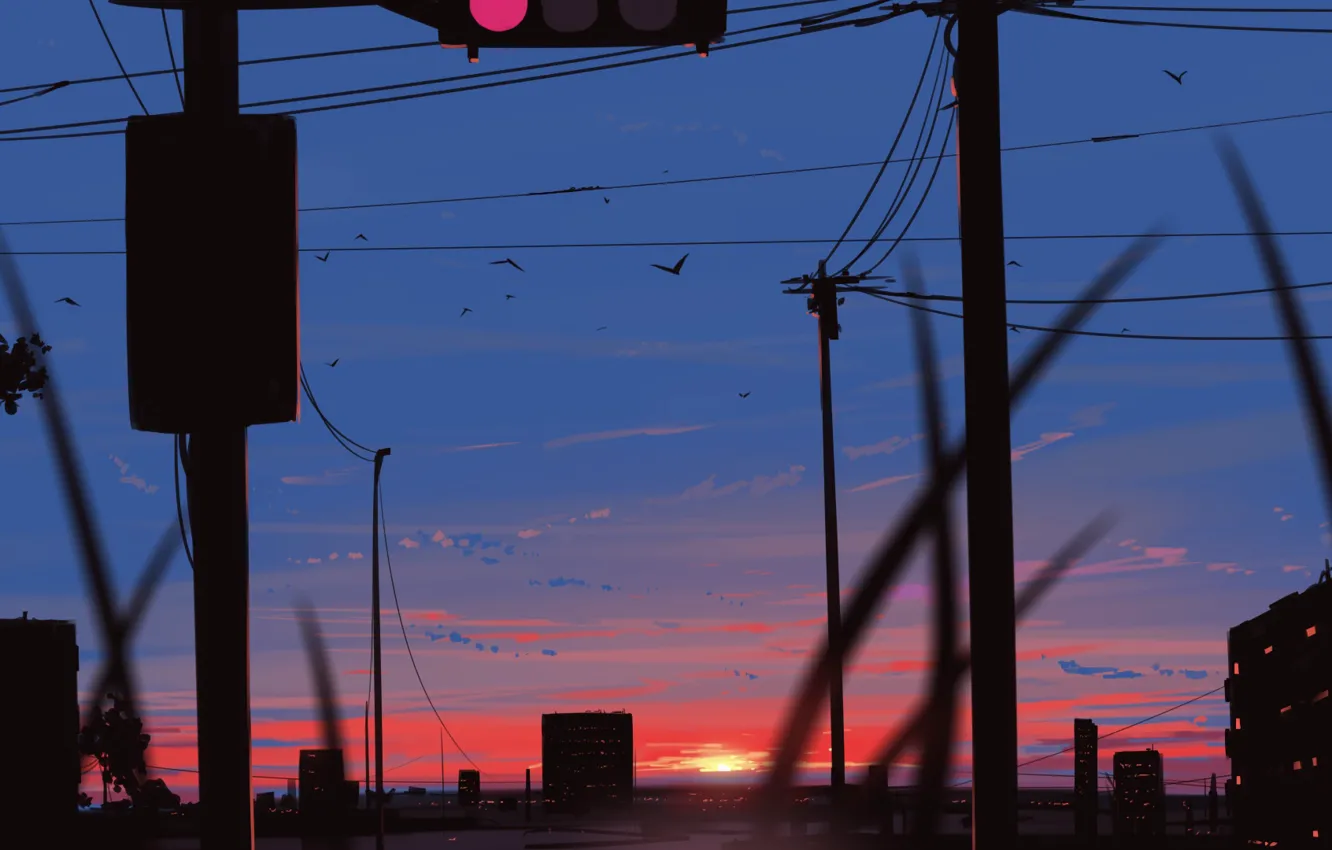 Фото обои закат, птицы, город
