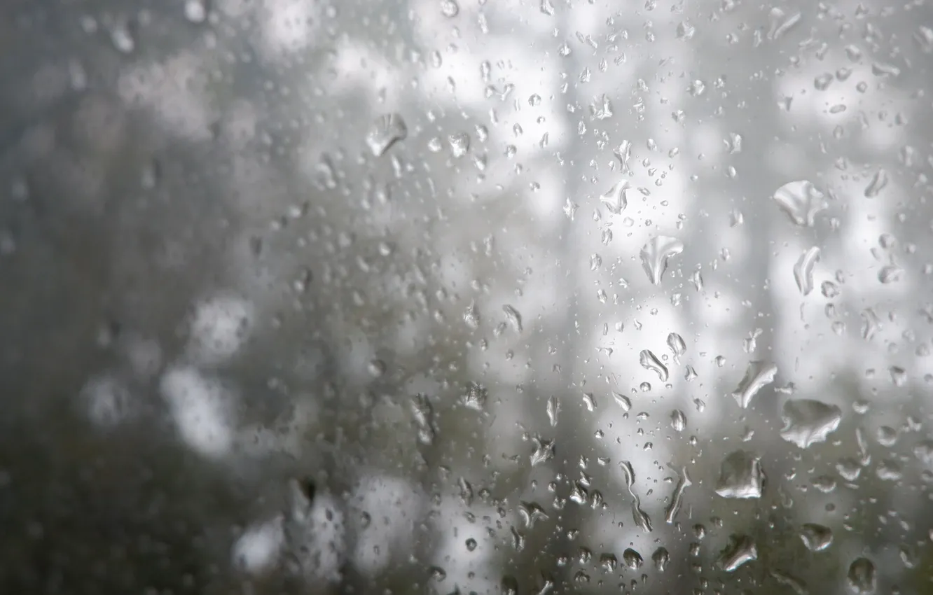 Фото обои мокро, стекло, капли, серый, дождь