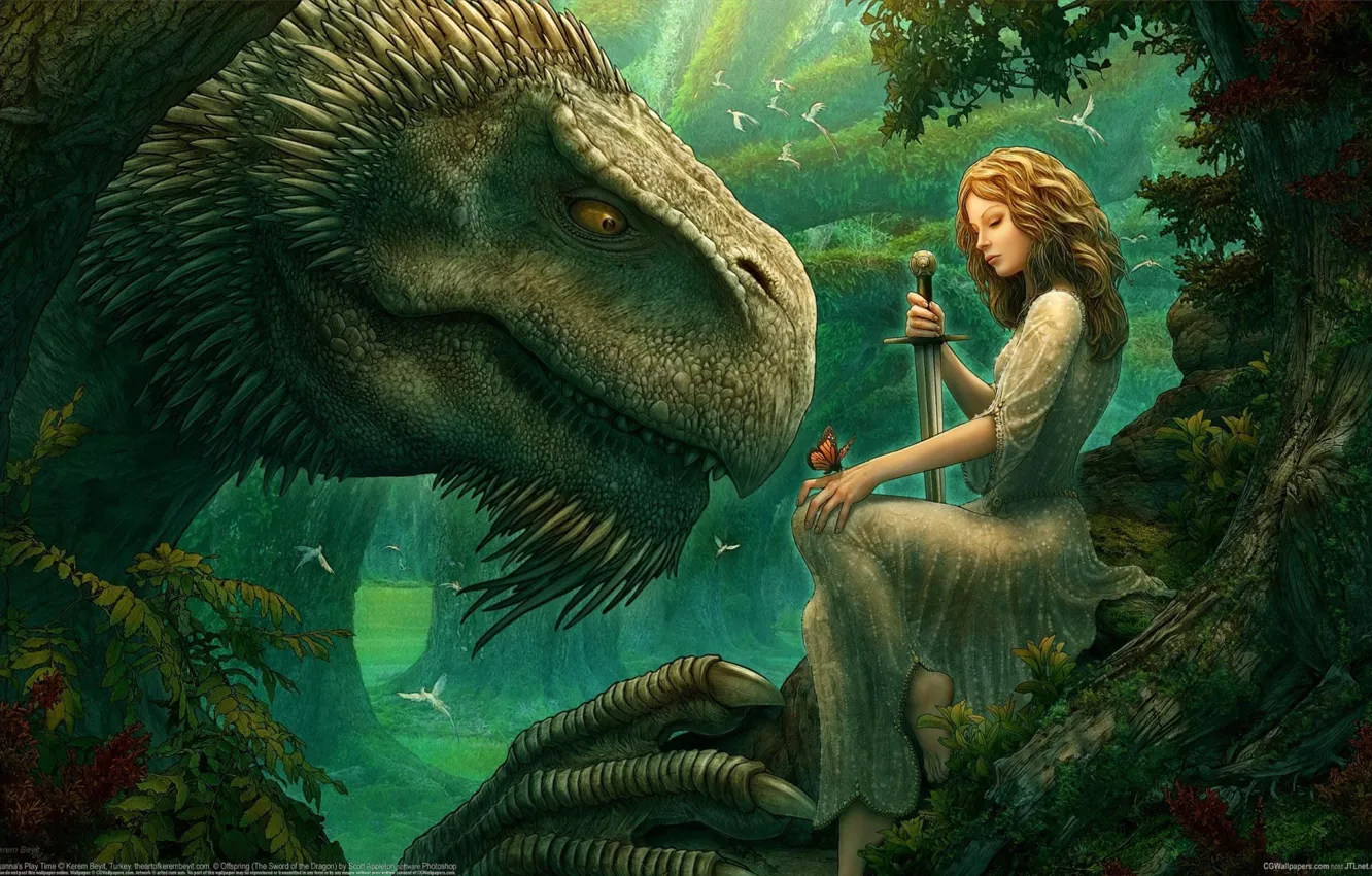 Фото обои девушка, деревья, птицы, волшебство, магия, бабочка, поляна, дракон