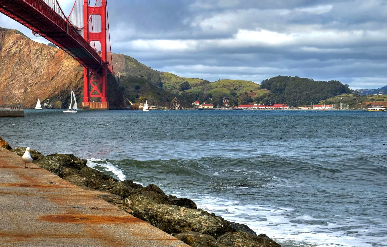Фото обои Сан-Франциско, bridge, San Francisco, Golden Gate, мост Золотые ворота