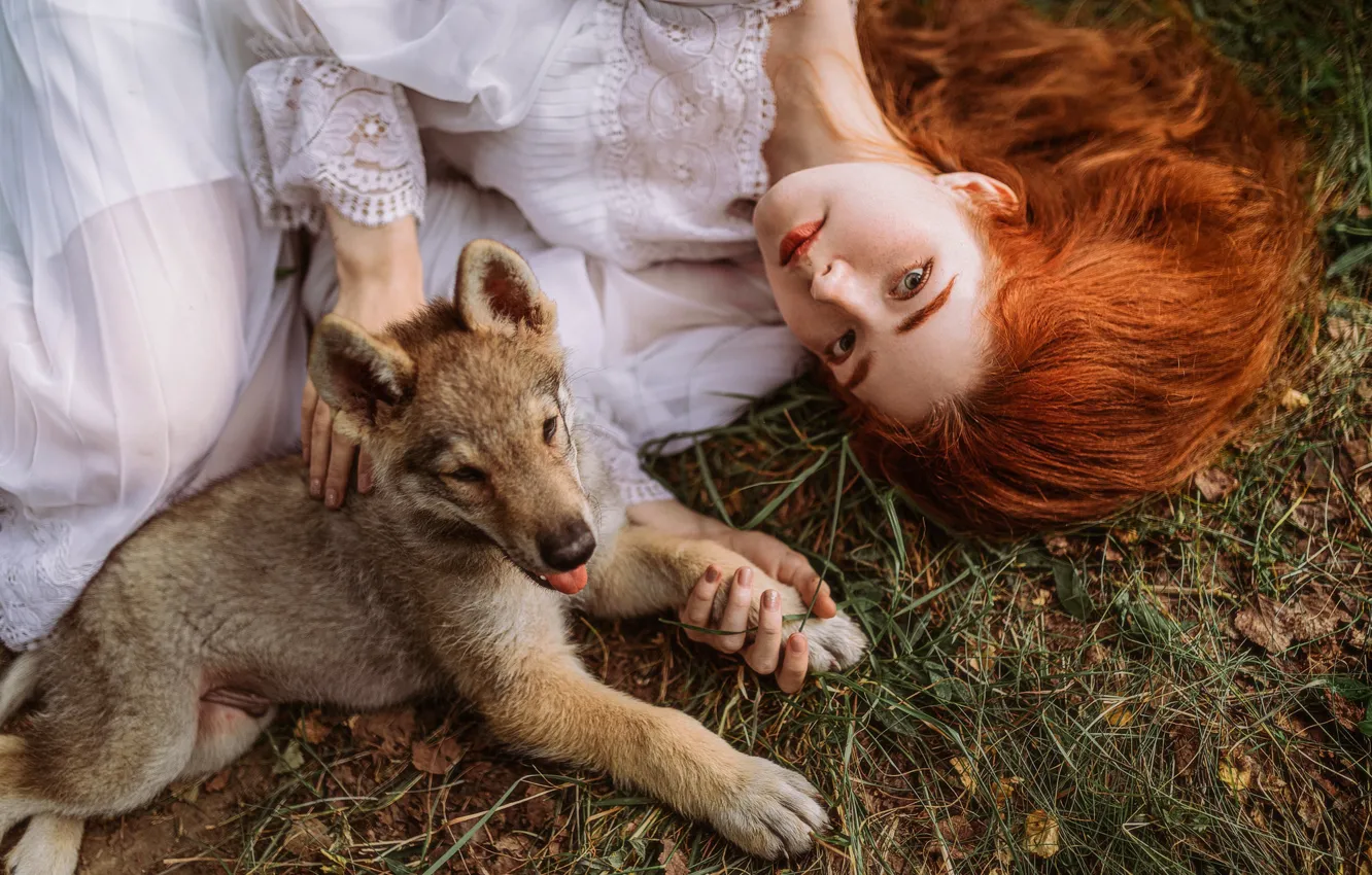 Фото обои взгляд, девушка, лицо, поза, волосы, собака, щенок, рыжая