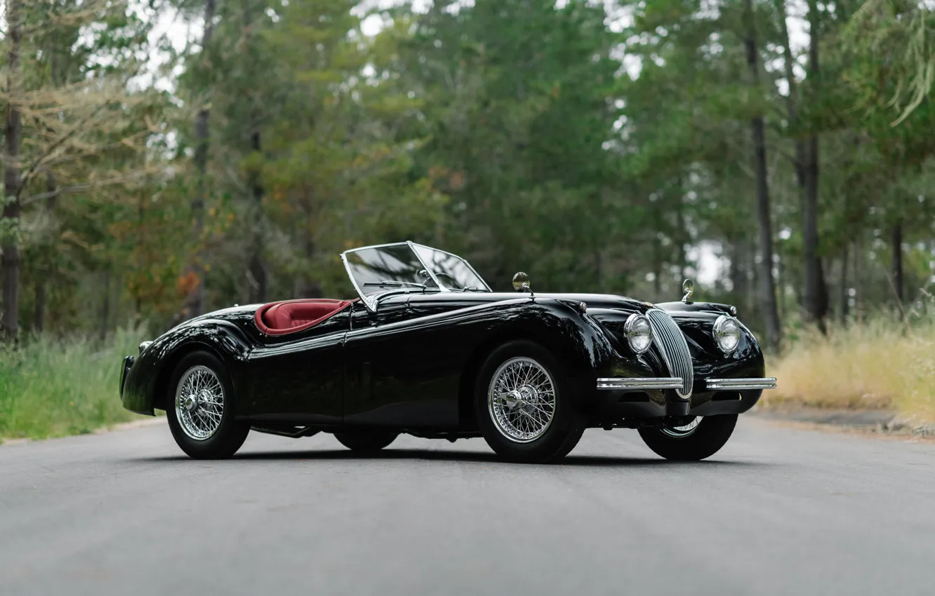 Фото обои Jaguar, 1954, XK120, Jaguar XK120 Roadster