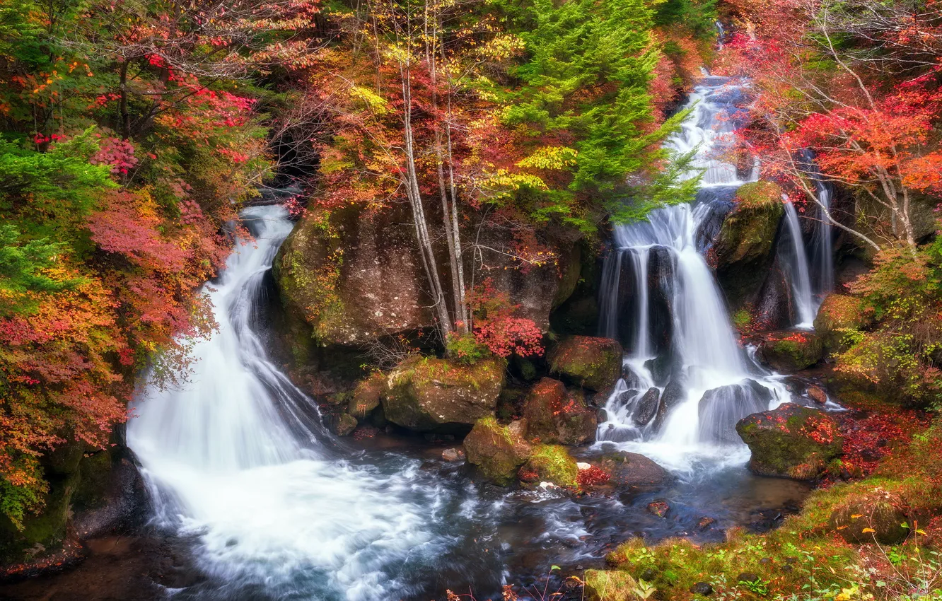 Фото обои осень, пейзаж, река, водопад